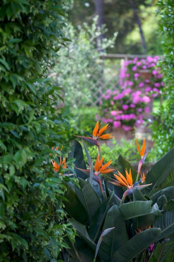 La Cervara Bed & Breakfast Santa Margherita Ligure Luaran gambar